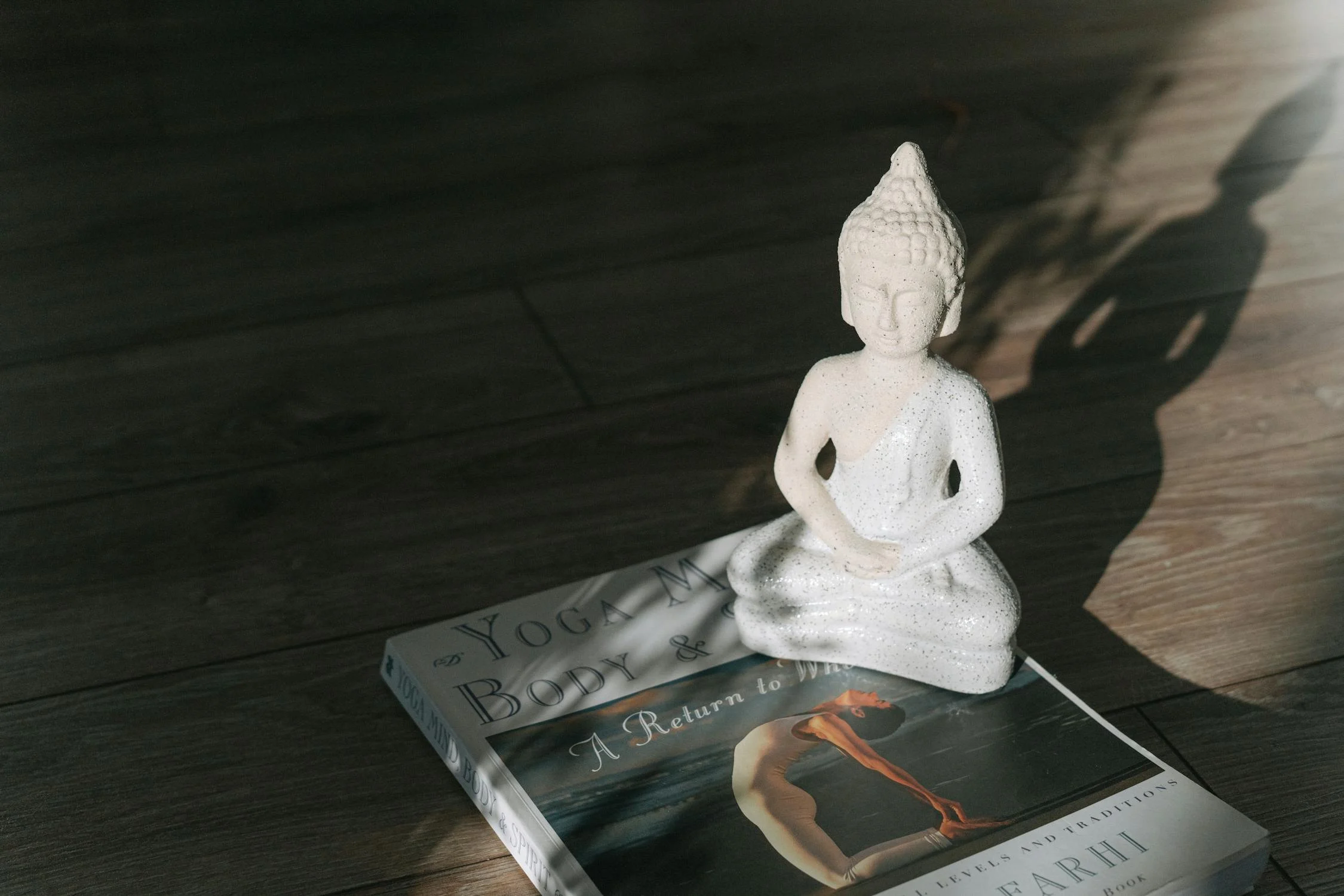 bks iyengar